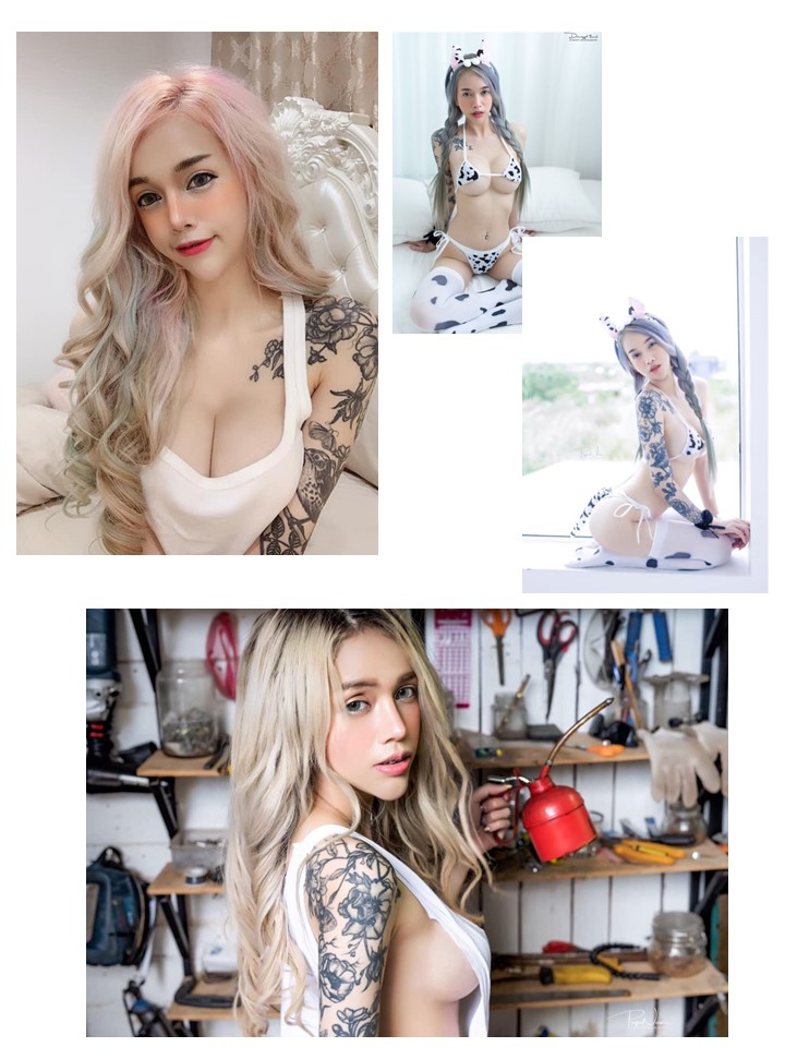 อัลบั้มใหม่